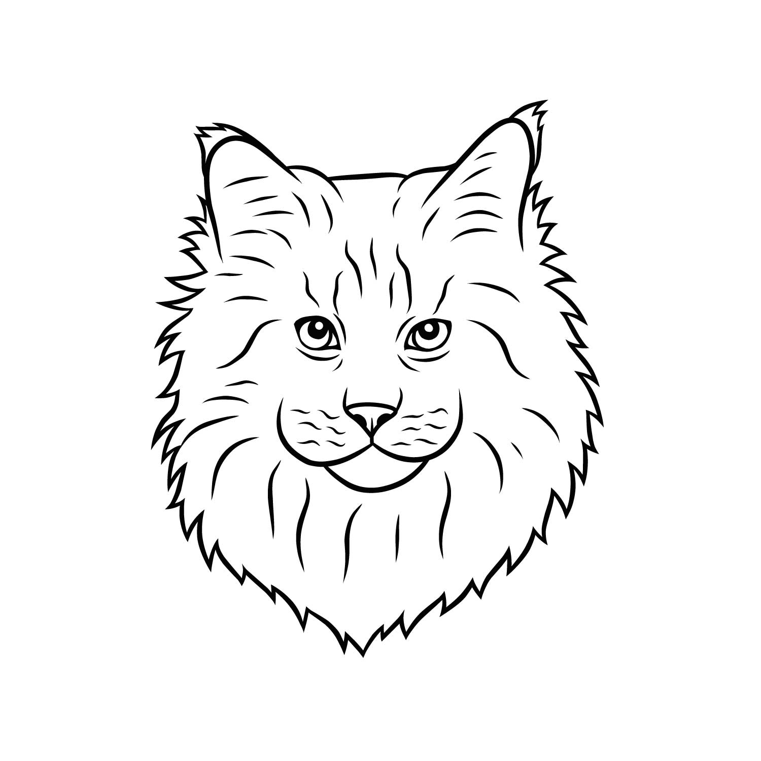 Maine Coon