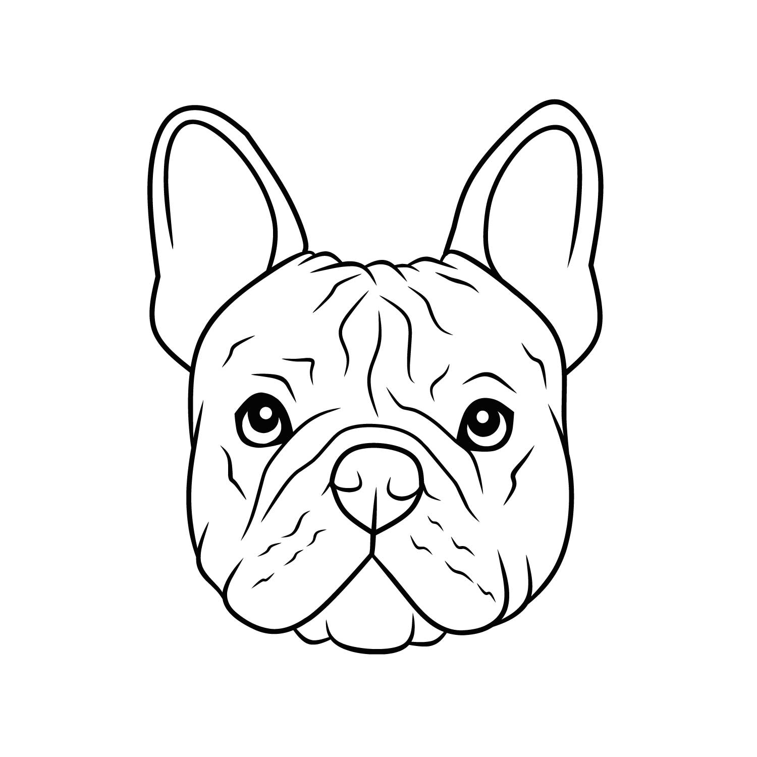 Französische Bulldogge