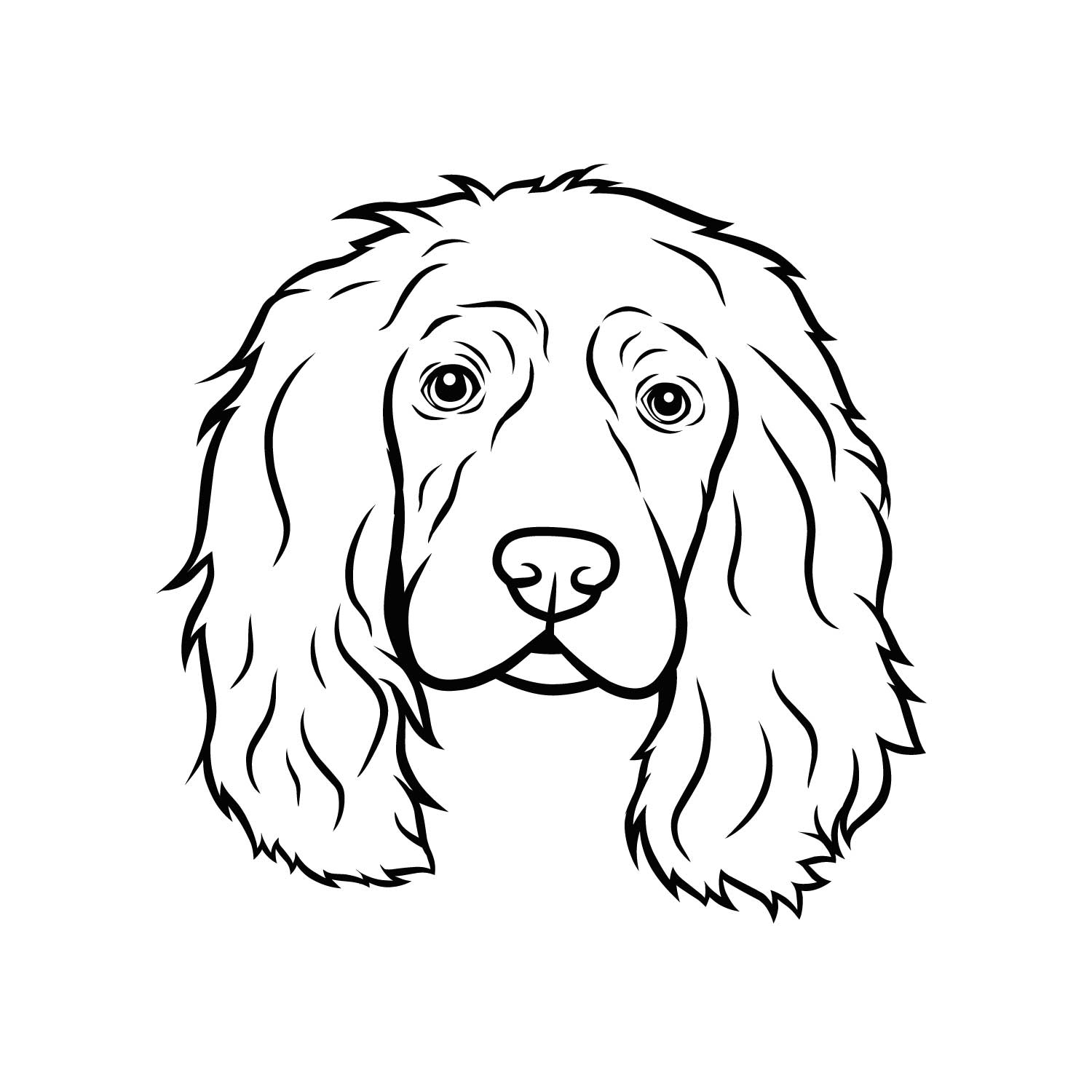 English Cocker Spaniel