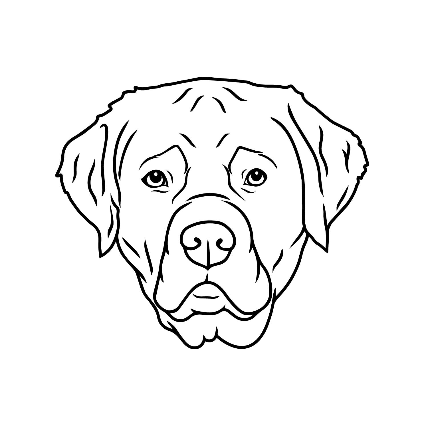 Labrador