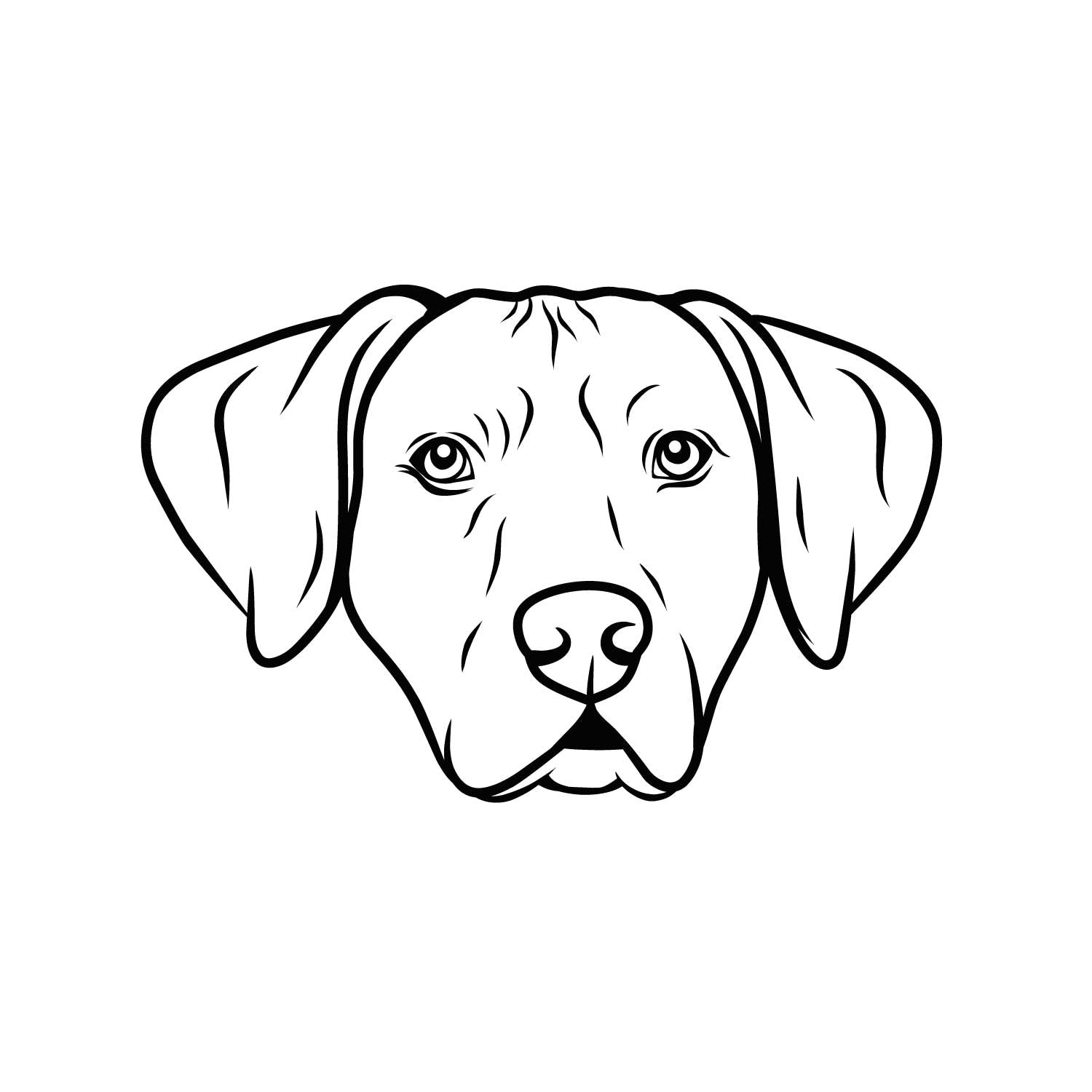 Rhodesian Ridgeback
