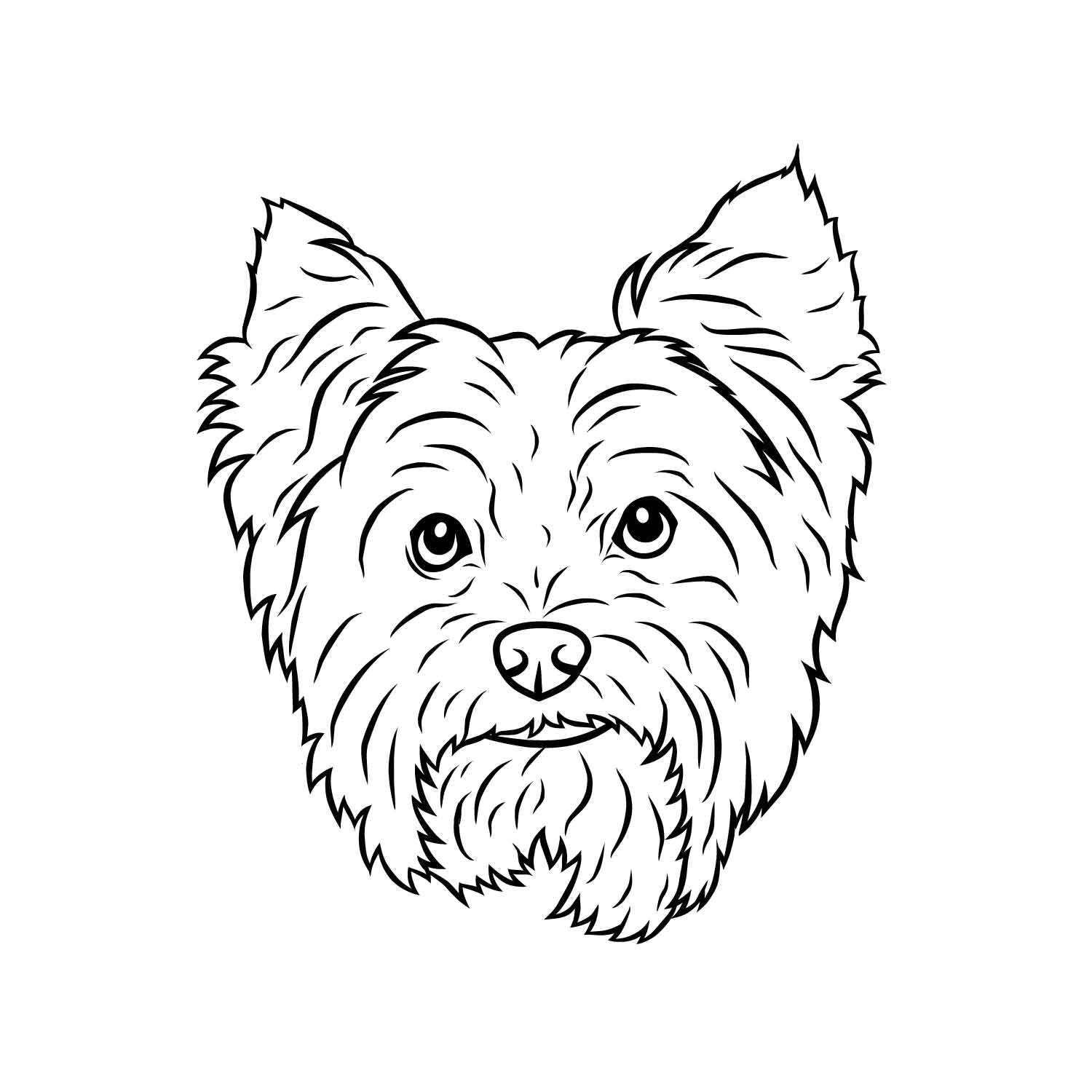 West Highland Terrier
