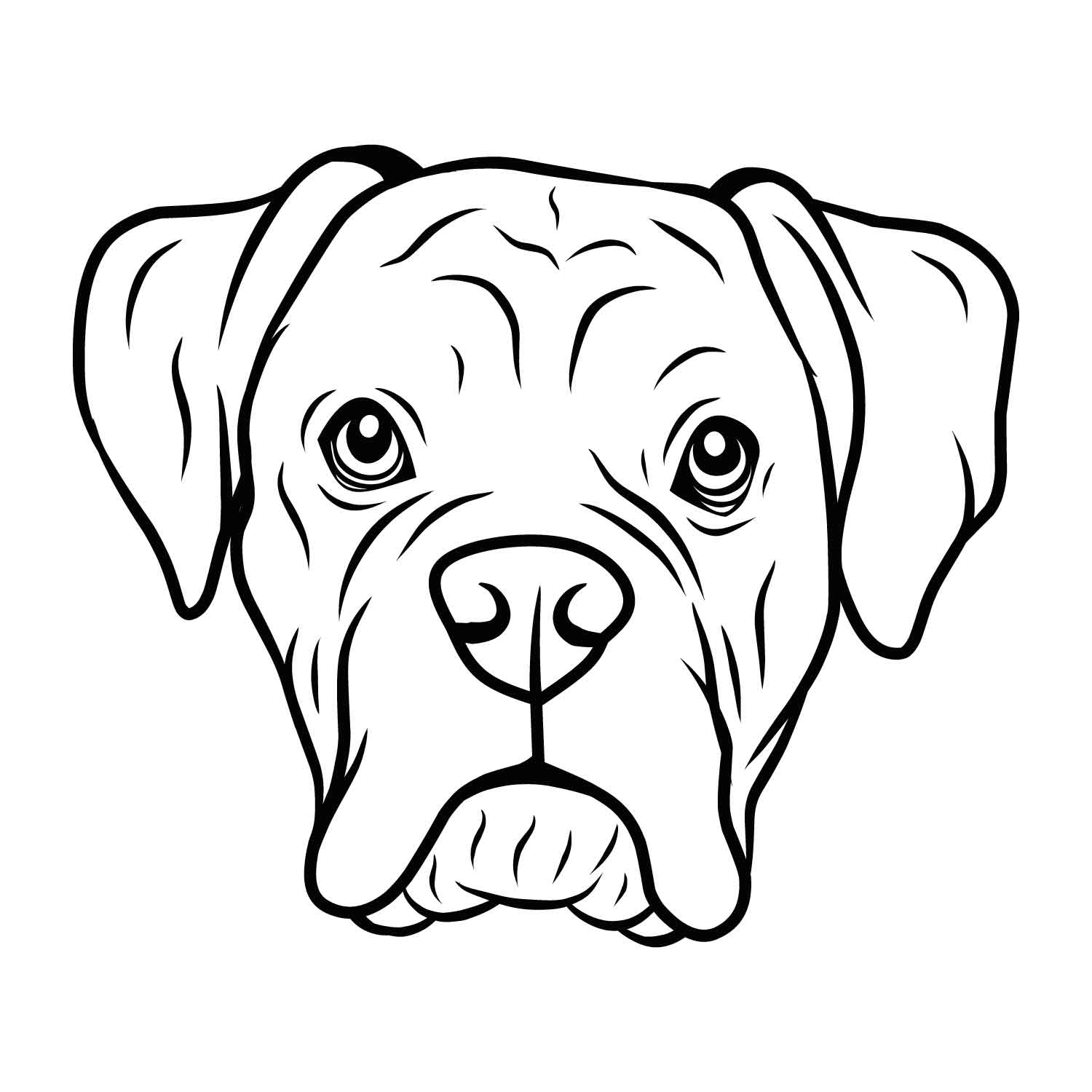 Boxer