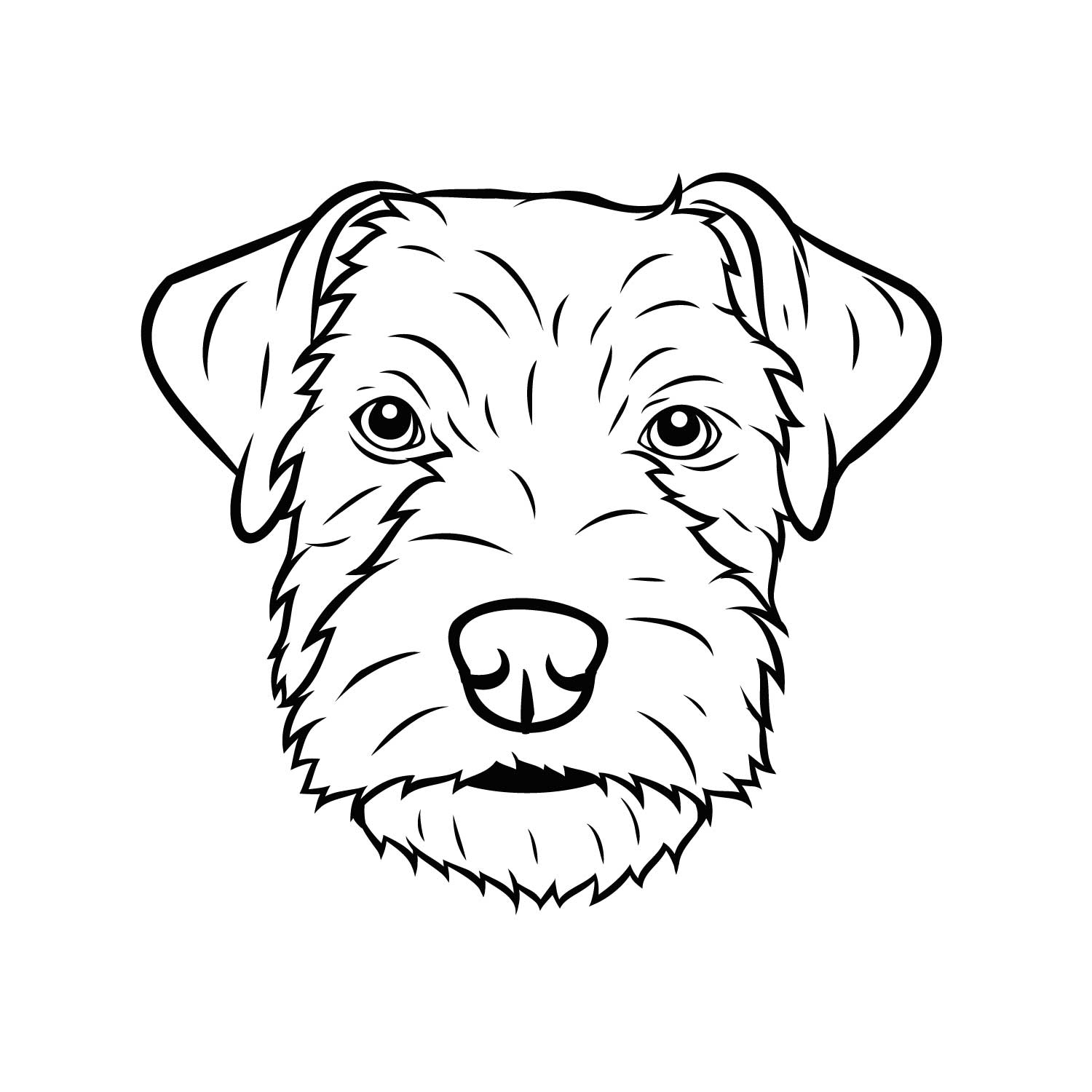 Parson Russell Terrier