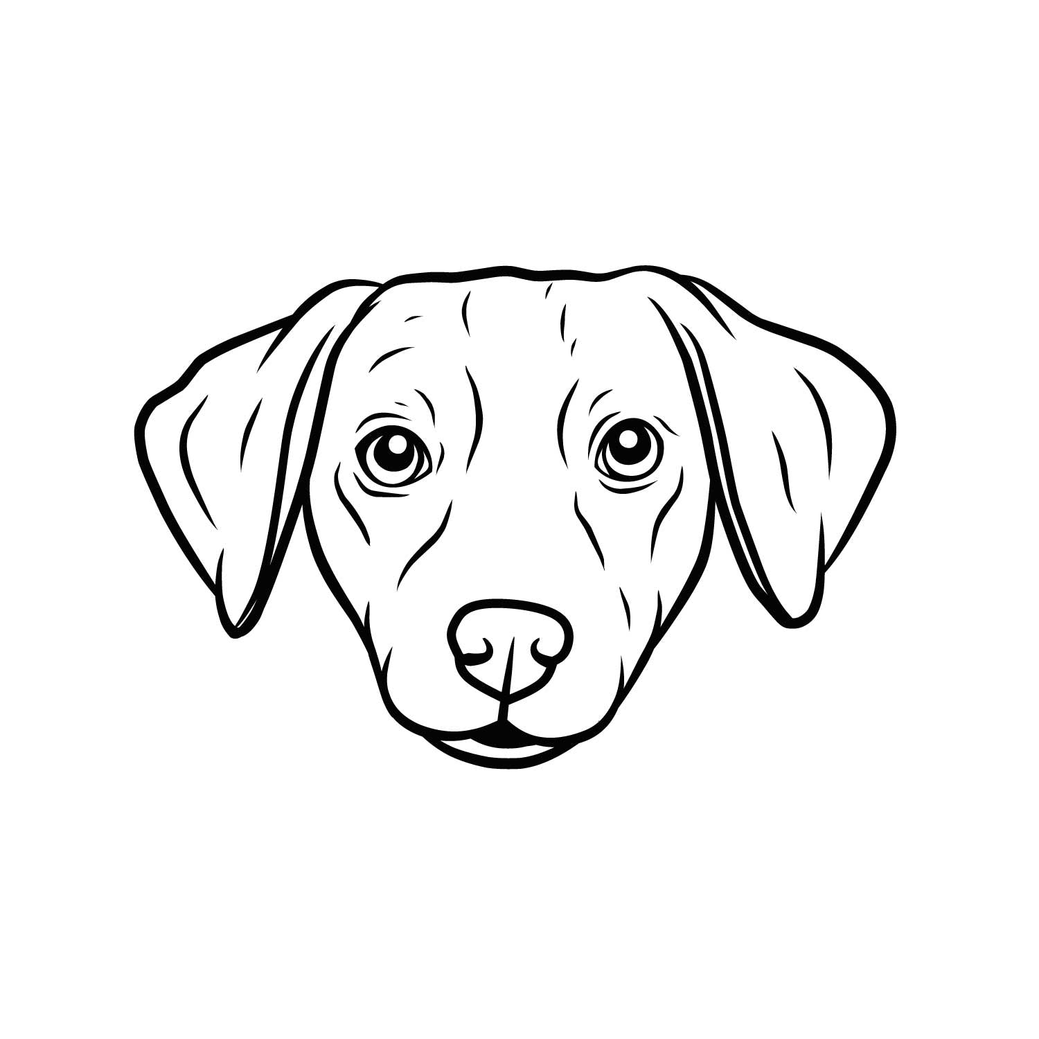 Jack Russell Terrier