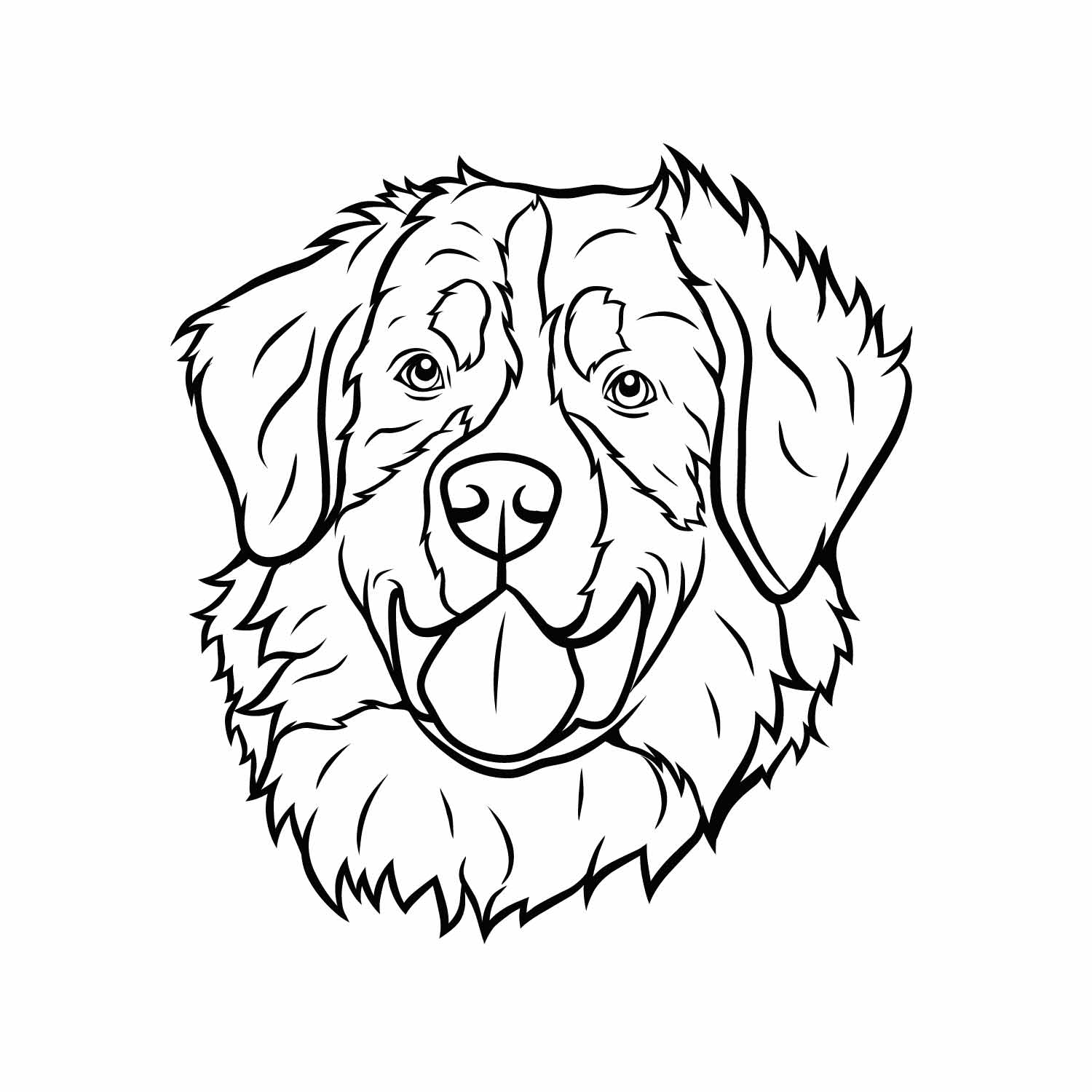 Berner Sennenhund