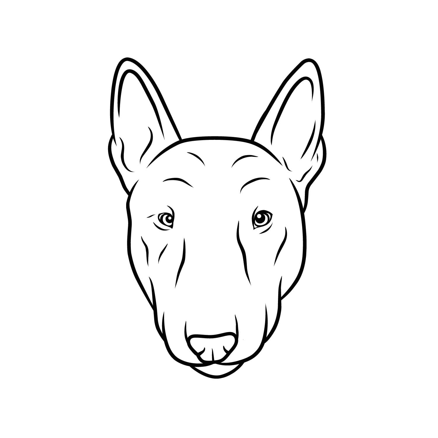 Bullterrier
